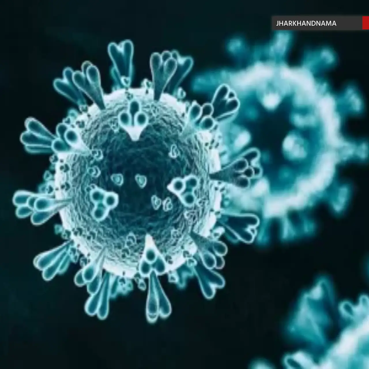 फिर बढ़ने लगा कोरोना, इस्ट सिंहभूम में दो दर्जन हो गई मरीजों की संख्या